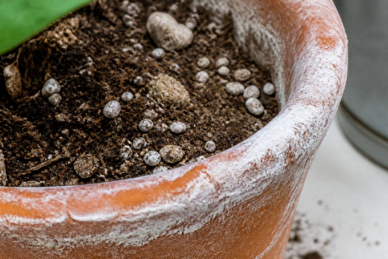 Crosta branca de minerais na borda de vaso de terracota e sobre a superfície do substrato